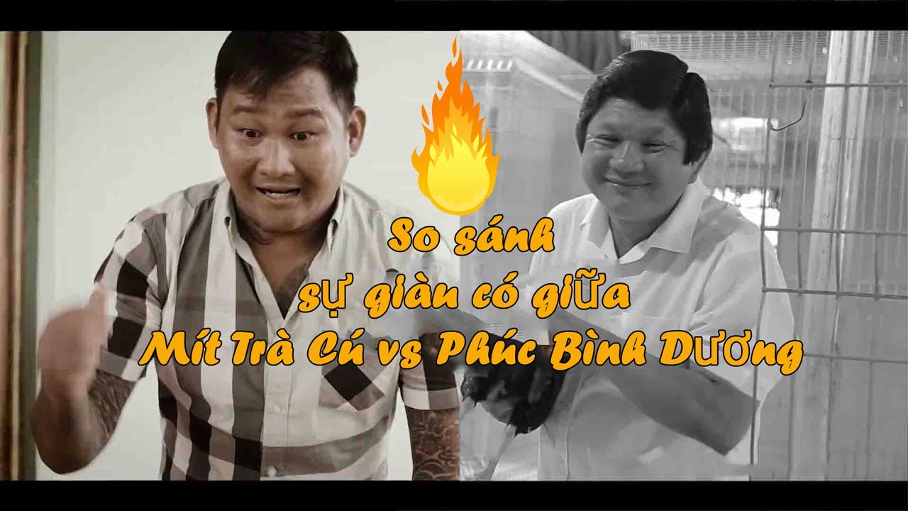 Trận Đá Gà 24 Tỷ - Đại Chiến Phúc Bình Dương vs Mít Trà Cú Những nhân vật hot trong trận đá gà 24 tỷ