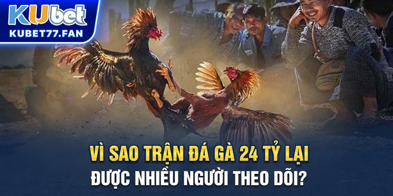 Trận Đá Gà 24 Tỷ - Đại Chiến Phúc Bình Dương vs Mít Trà Cú Trận đá gà 24 tỷ có gì để thu hút người xem?